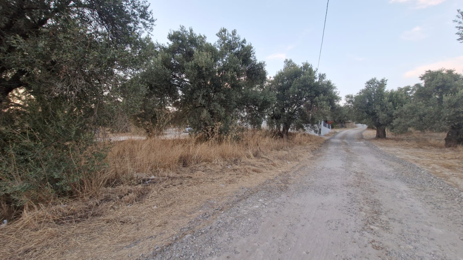 Ayvalık Sarımsaklı kavşağında imarlı satılık ARSA
