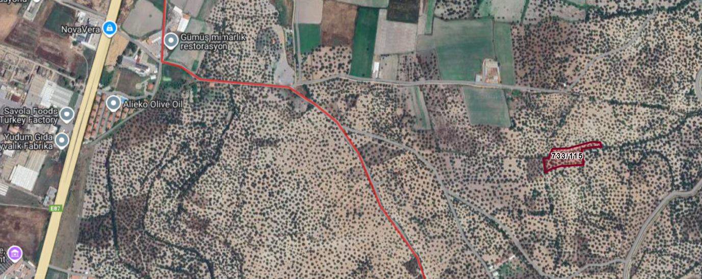 Ayvalık Gazikemalpaşa da Satılık Zeytinlik