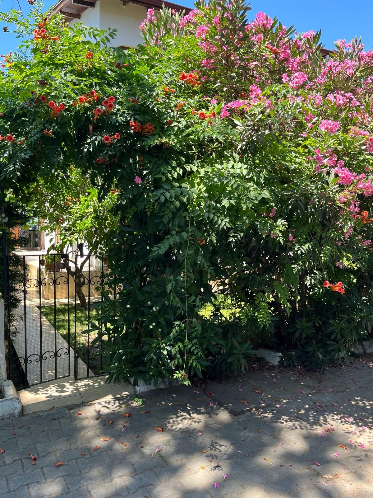 Ayvalık Altınova Marti Sitesinde Deniz manzarali Eşyalı Dubleks Villa