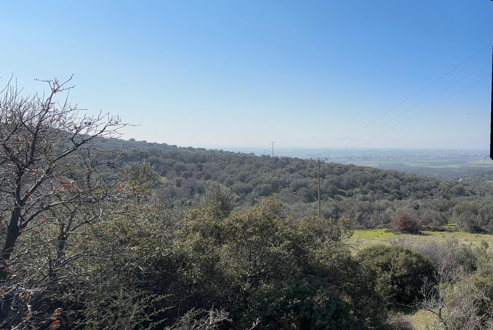 Ayvalık Üçkabaağaç Mahallesinde Satılık Tarla