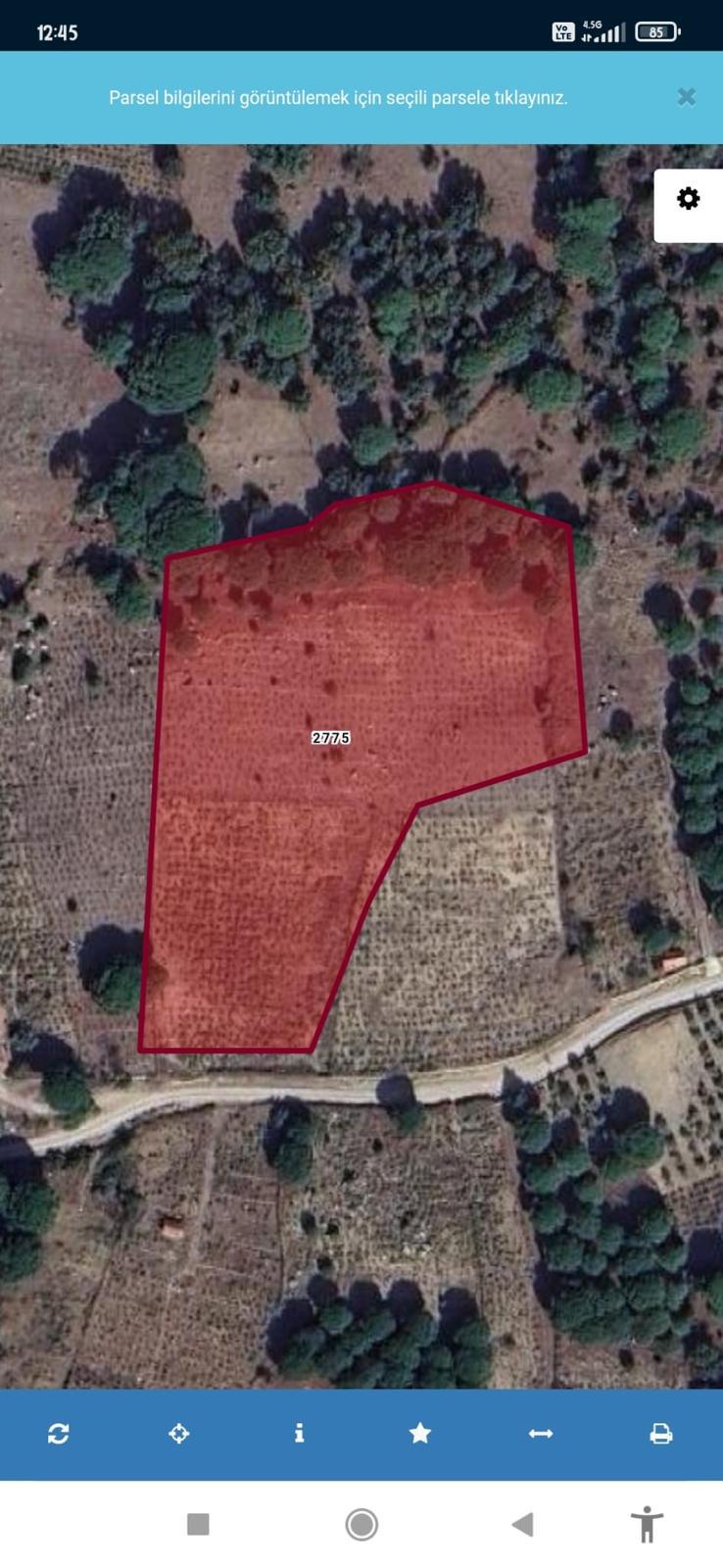 İzmir Bergama Aşağıbey de Satılık Fıstıklı Tarla