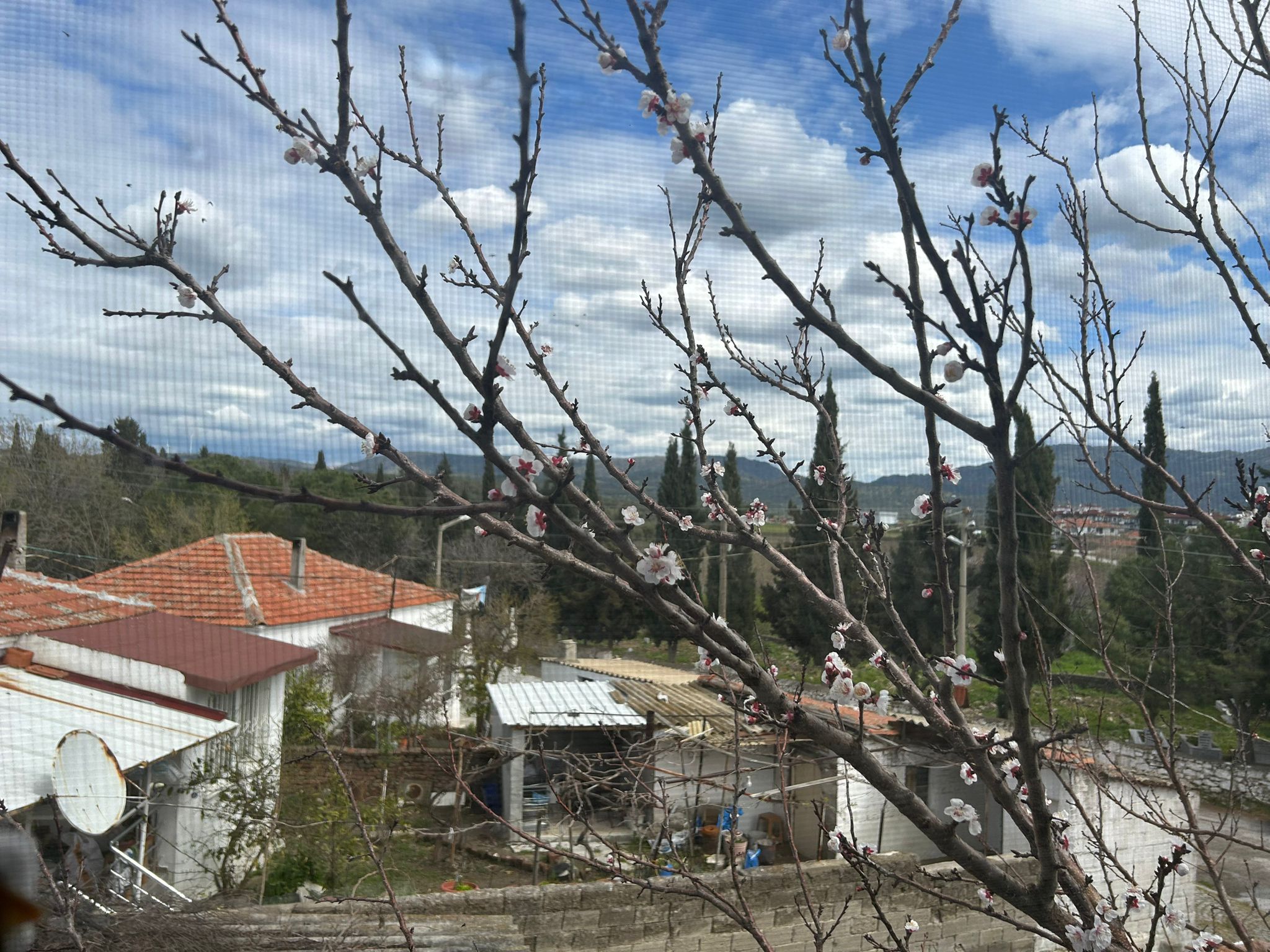 Ayvalık Altınova Merkezde Satılık 2 Katlı Müstakil Ev